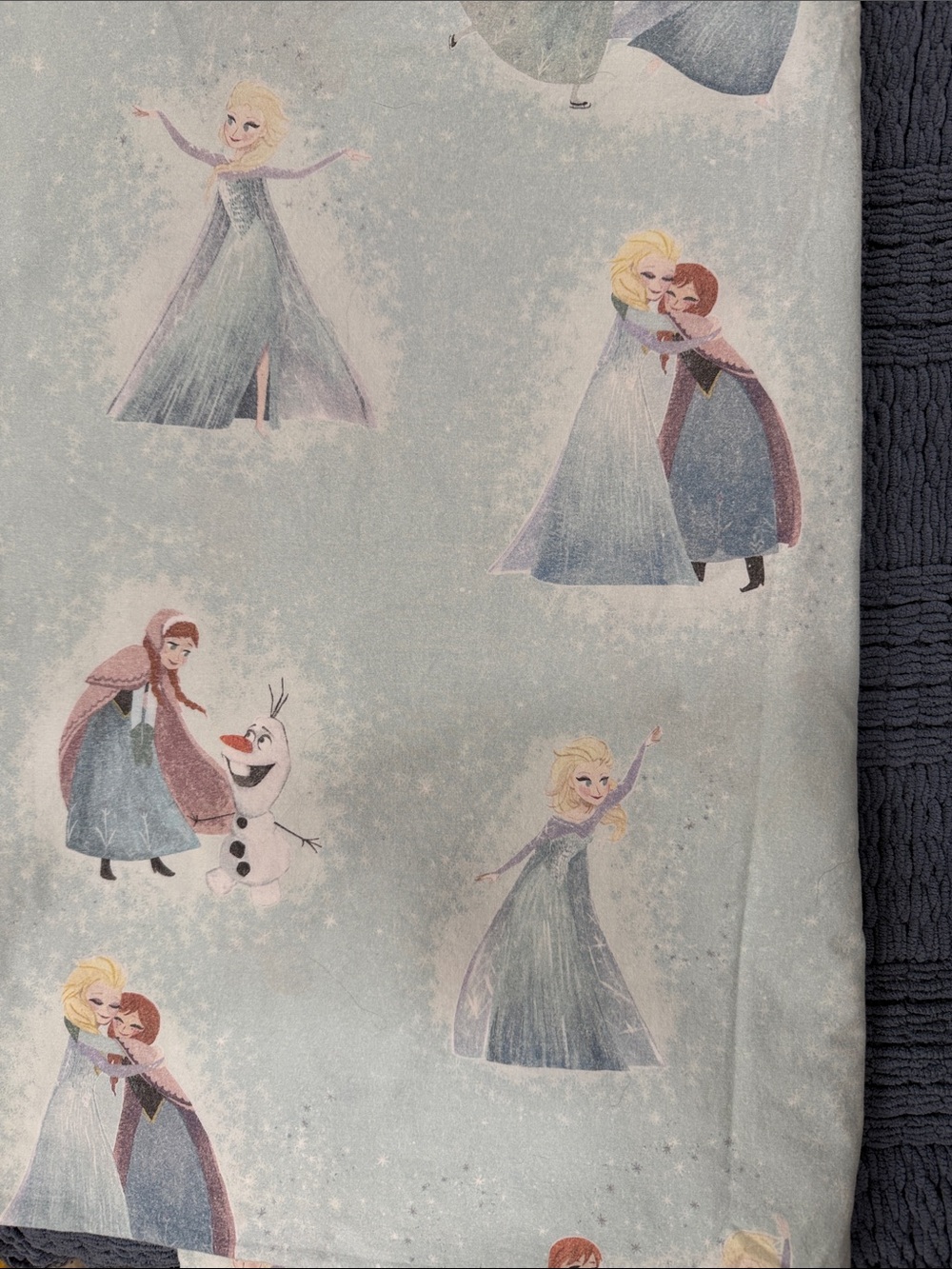 Pottery Barn Kids duvet - Anna & Elsa, Frozen